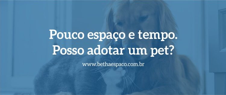 espaço para pet